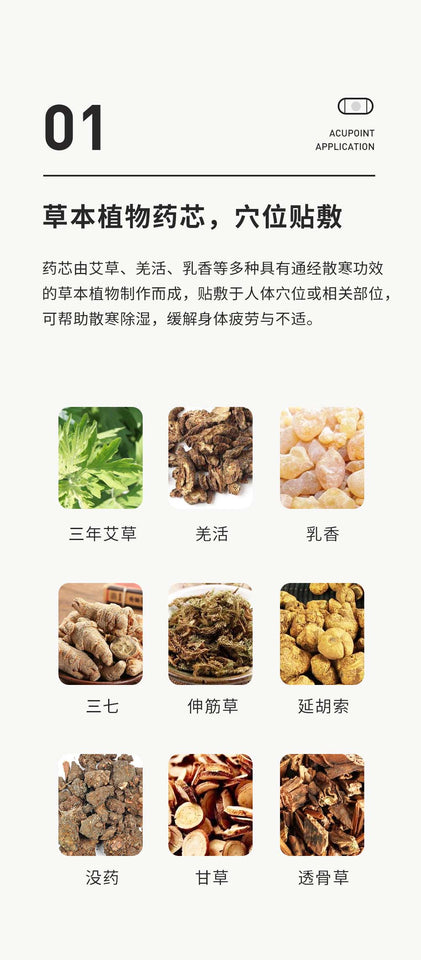 艾熱貼 （持續8小時保温）